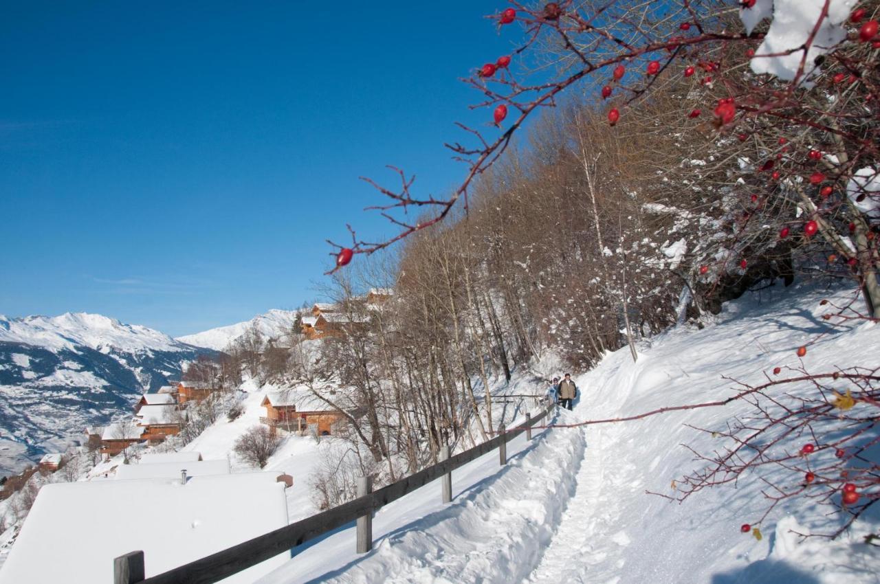 Greppons Cosy & Mountain Apartments By Alpvision Residences فييسوناز المظهر الخارجي الصورة