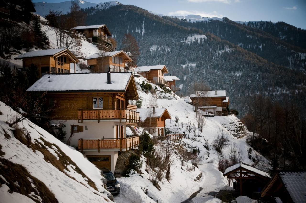 Greppons Cosy & Mountain Apartments By Alpvision Residences فييسوناز المظهر الخارجي الصورة